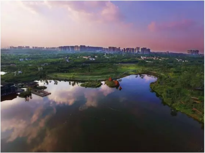 三圣乡白鹭湾湿地公园一景 图据网络